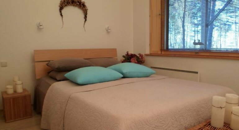 Forest House - Photo3