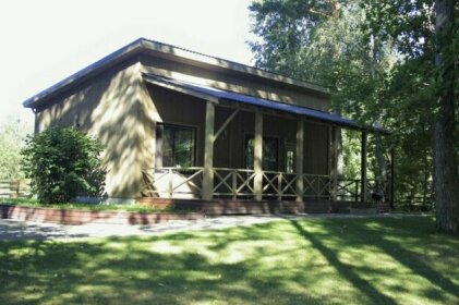 Forest House