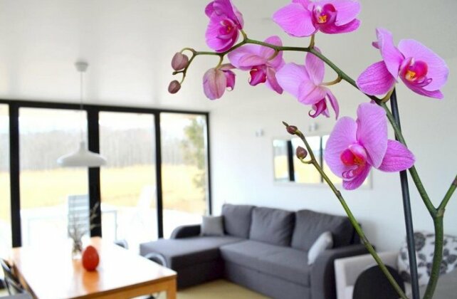 Harmati Holiday House - Photo4