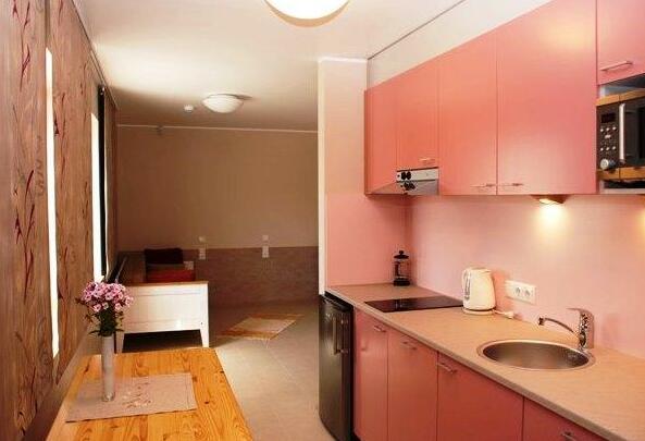 Piibutopsu Holiday House - Photo5