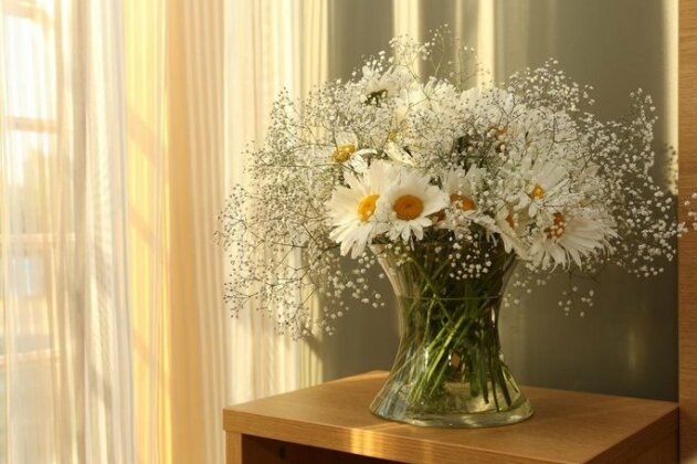 Dirhami Guesthouse - Photo2