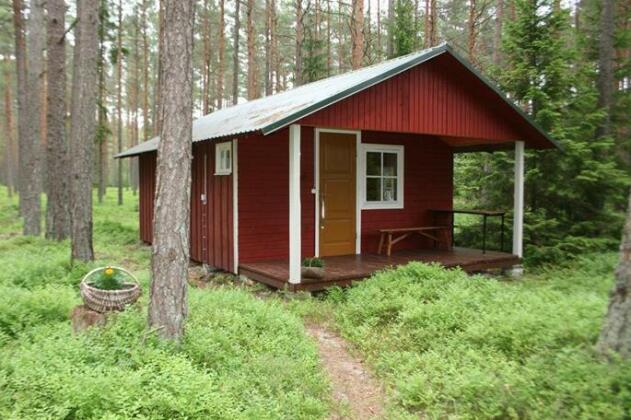 Metskonna Forest House - Photo3