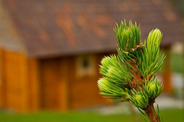 Partsilombi Holiday Home - Photo2