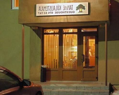 Tamme Guesthouse - Photo2