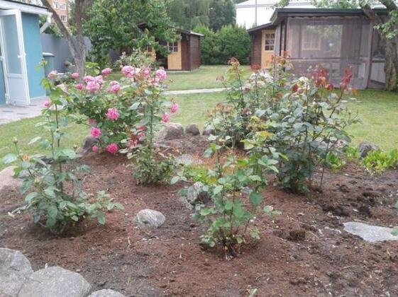 House in Garden - Photo5