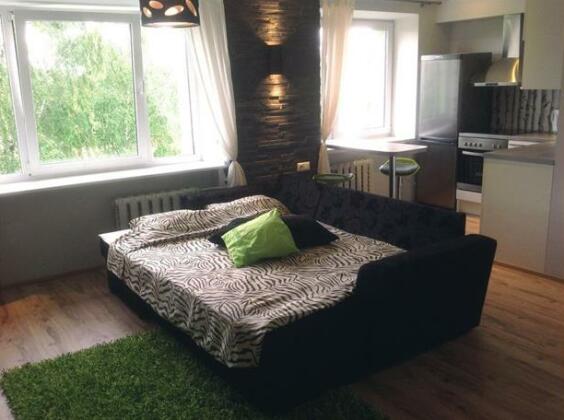 Sunny Studio Apartment - Photo3