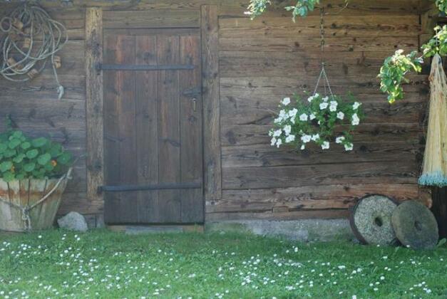 Hallikivi Tourist Farm - Photo4