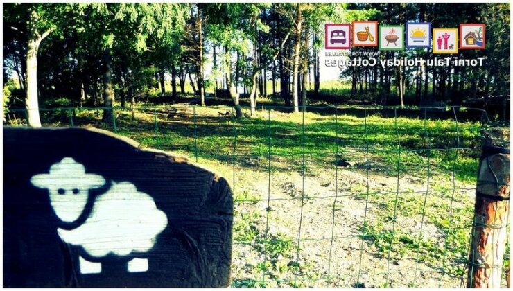 Torni Talu Holiday Cottages - Photo5