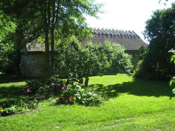 Aaviku Holiday Houses - Photo5