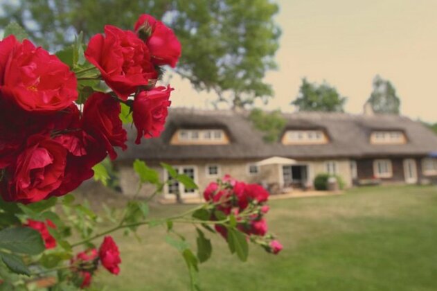 Metsara B & B - Photo2
