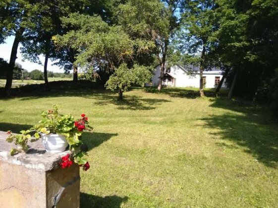 Paali cottages - Photo3