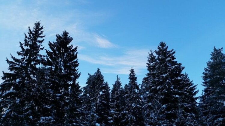 Veskikula Tamme Saun - Photo5
