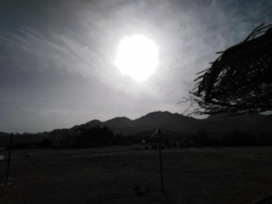 Nuria Compound - Photo3