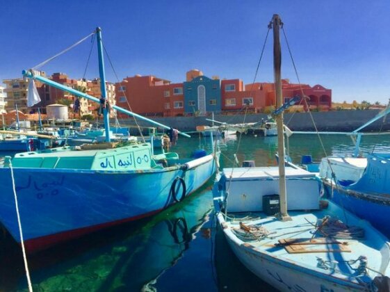 Palma Blue - Photo4