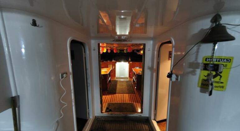 Red Sea Boatcharter - Photo2