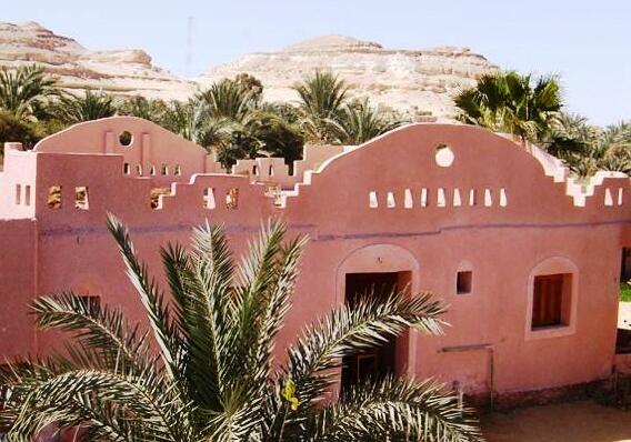 Qasr Alzaytuna Inn - Photo3