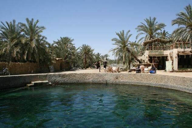 Talist Siwa - Photo5