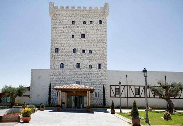 Chateau Pago De Cirsus