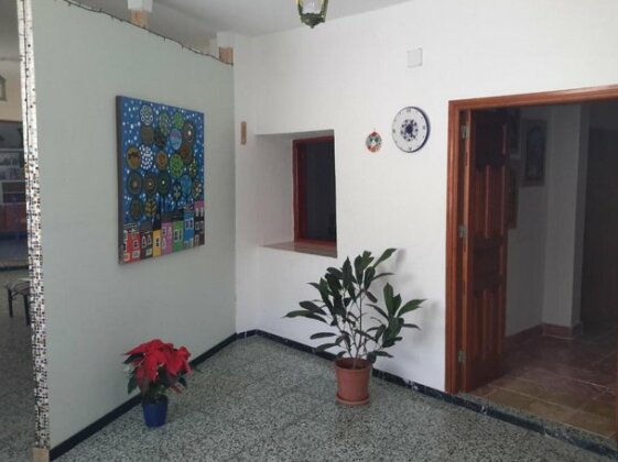 Lagarto Agaete - Photo4
