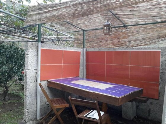 Lagarto Agaete - Photo5