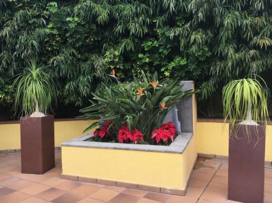 Los Jazmines - Photo3