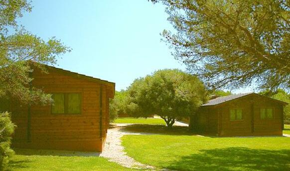 Camping Son Bou - Photo2