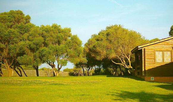Camping Son Bou - Photo3