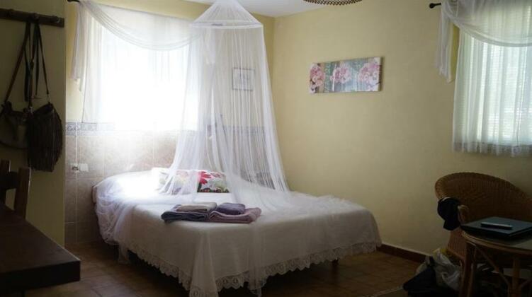 El Campus - Photo2