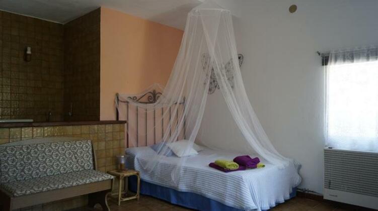El Campus - Photo3