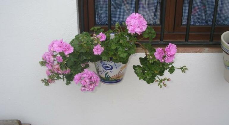 Casa Rural y Restaurante Casa Adriano - Photo2