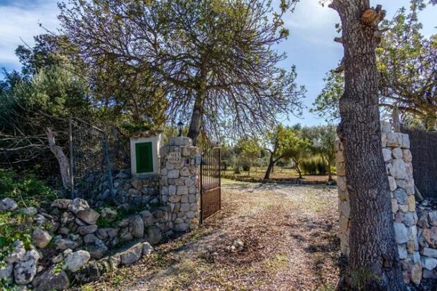 El Clos Alcudia - Photo2