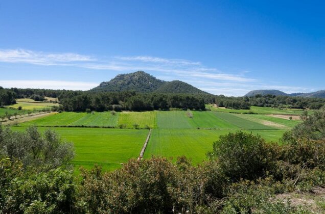 Can Fiolet - Photo2