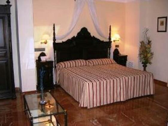 Casa del Conde de Pinofiel - Photo3