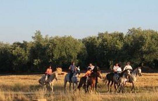 Hotel Rural Carlos Astorga - Photo3