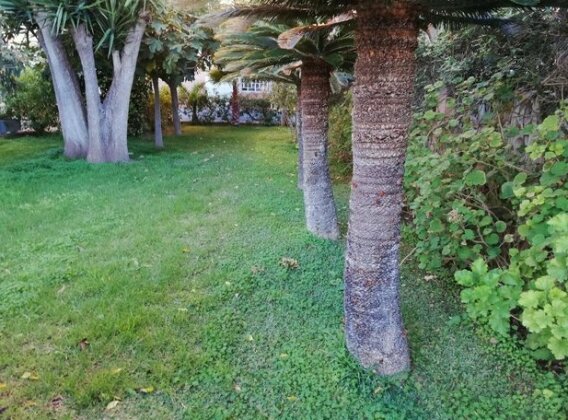 Acacias Studio - Photo3