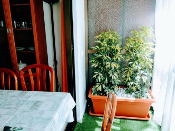 Apartamento Asuncion - Photo4
