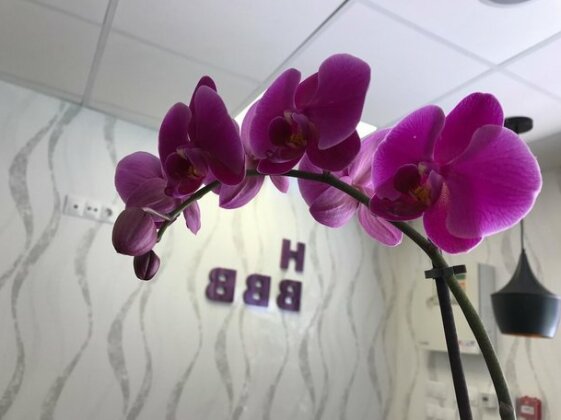Hotel Boutique Centro BBB - Photo3