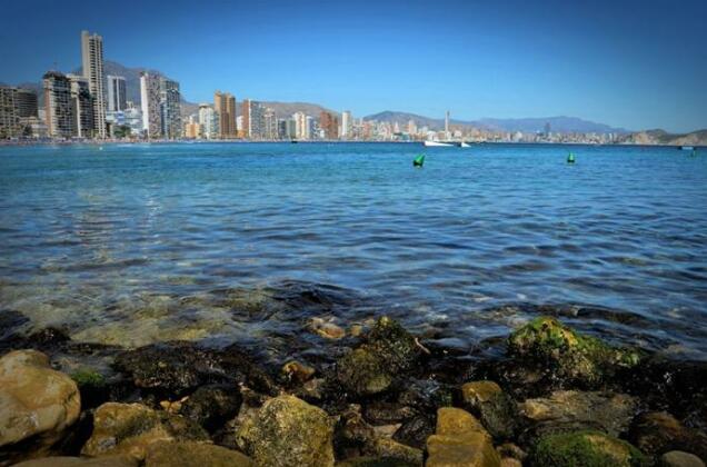 Hotel Lido Benidorm - Photo4