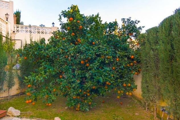 Villa Freixer - Photo3