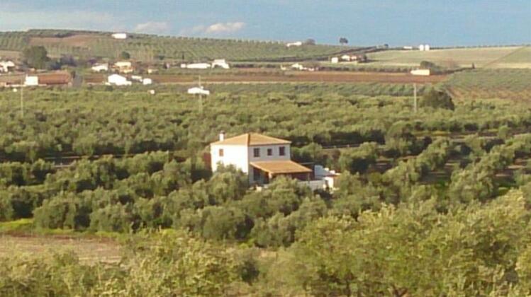 Casa Rural Pio - Photo2