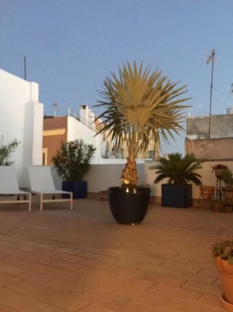 La terraza de San Pedro - Photo2