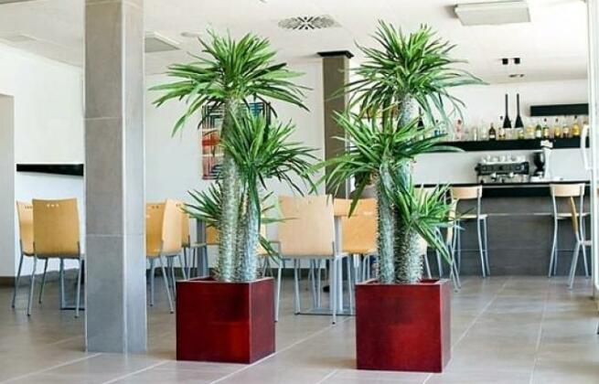 Park Garden Hotel - Photo4