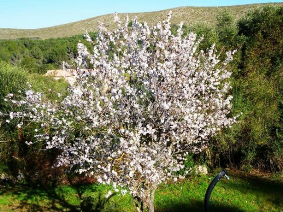Finca Almendra - Photo2