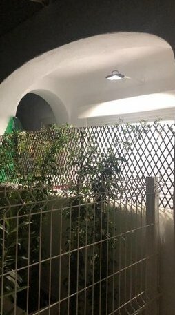 Casa Vadella Cala Vedella - Photo4