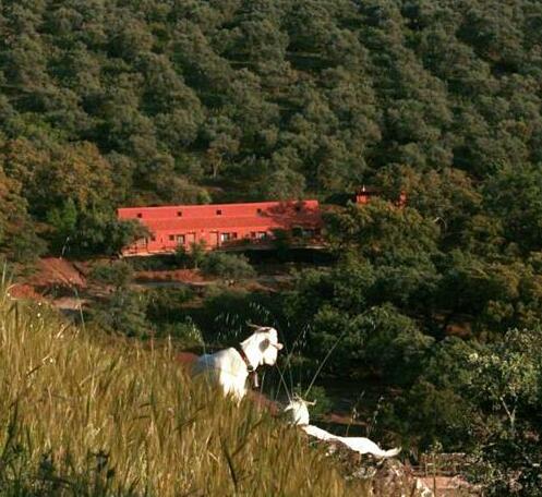 La Cana del Corchuelo - Photo2