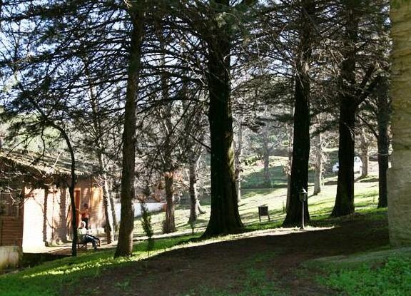 Cabanas De Tentudia - Photo5