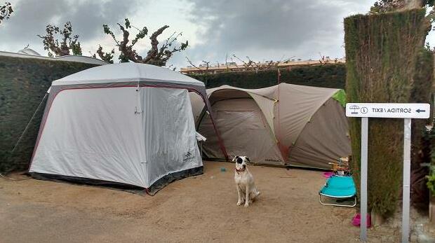 Camping Platja Cambrils - Photo4