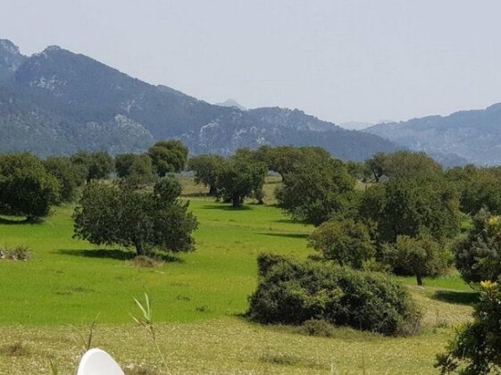 Finca Alqueria - Photo3