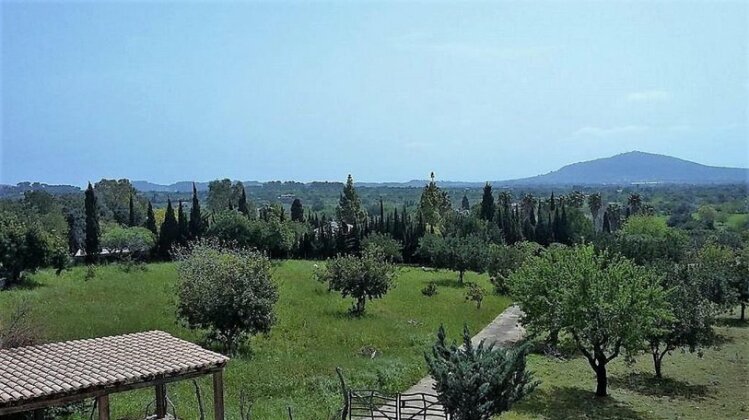 Finca Alqueria - Photo5