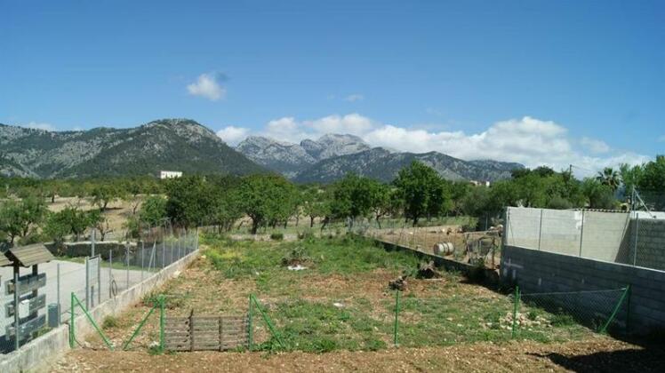 Holiday House Ca'n Bea - Photo4